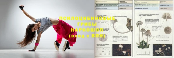 ALPHA-PVP Армянск